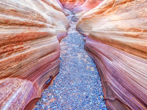 Along the pastel path