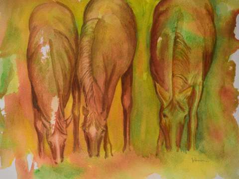 Horse trio