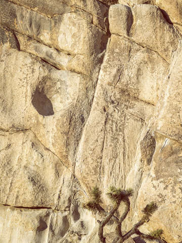 Go climb a rock