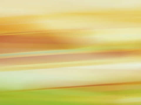 Moved landscape 12705a