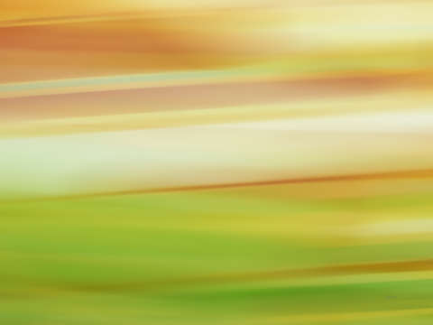 Moved landscape 12705b