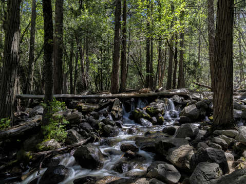 Yosemite stream