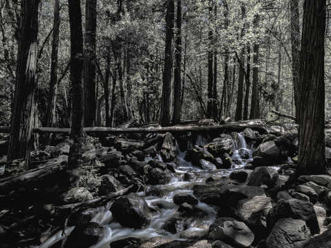 Yosemite stream bw