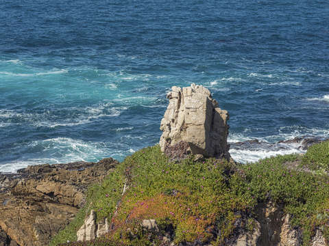 Colors blend at garrapata