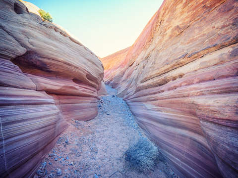 Pink canyon pastel path