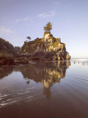 Pine on top of the world hidden beach
