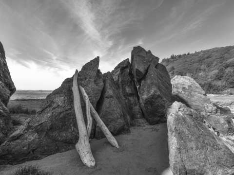 Leaning on ossagon monochrome