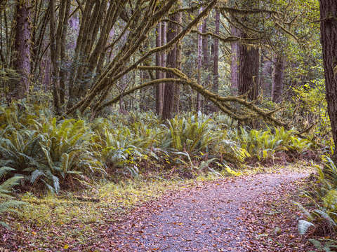 A walk in prairie creek