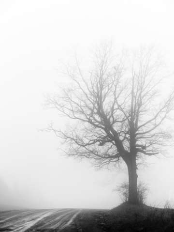 Monochrome road