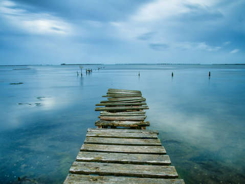 Deep blue sea 2