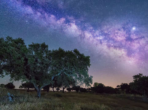 Milky way over the countryside