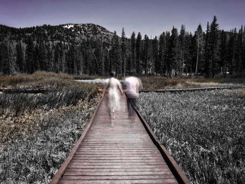 Boardwalk 6