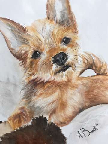 Charlie 2
