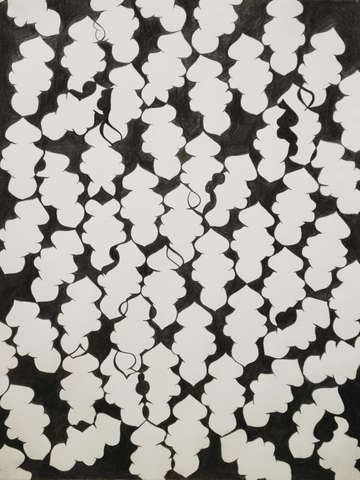 Untitled 40