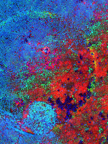 Jovian abstract