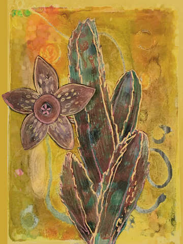 Stapelia rust