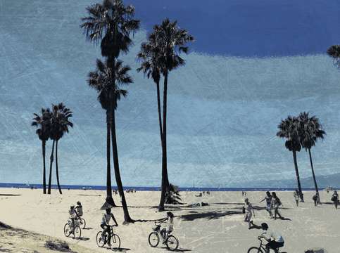 Venice beach bike tour