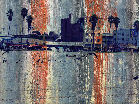 Los angeles venice beach