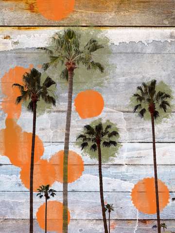 California palms