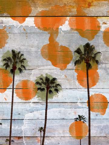 California palms ii
