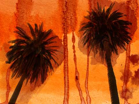 Sunset palms 2