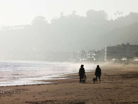 Malibu beach nightlife 4 2