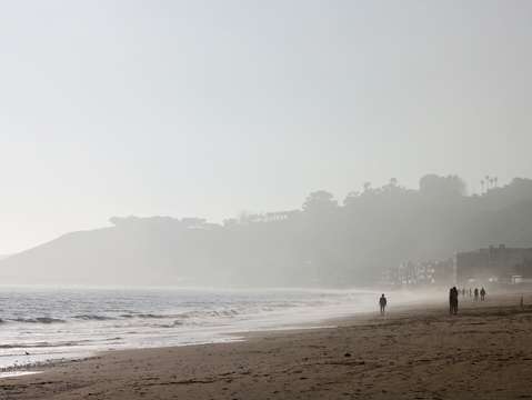 Malibu beach nightlife 2 2