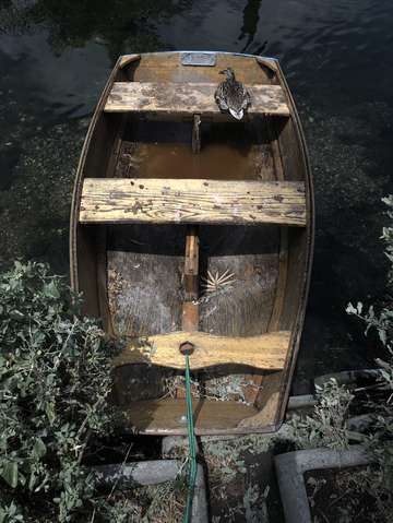 On the lake