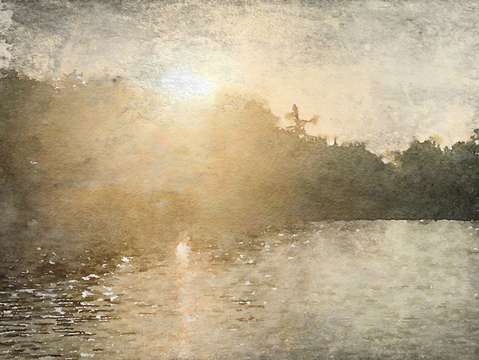 Sunrise over the trees