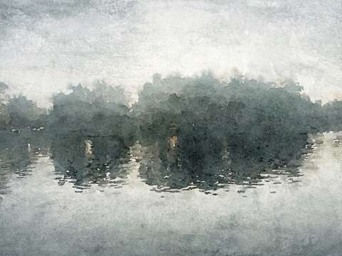 Marine landscape