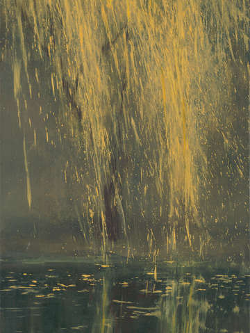 Golden willow