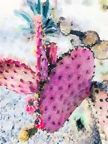 Rustic pink cactus 2