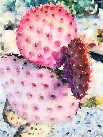 Rustic pink cactus 3