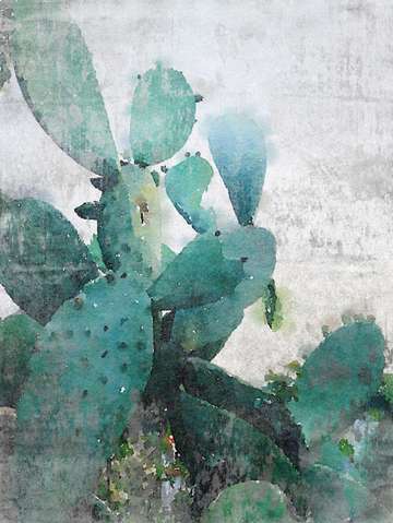 Rustic cactus