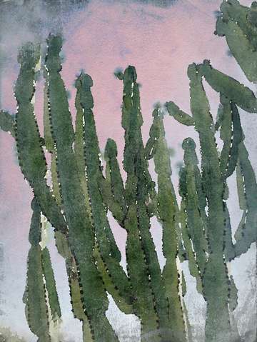 Desert cactus 1