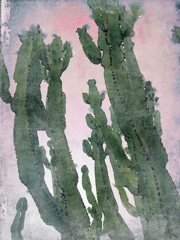 Desert cactus 2