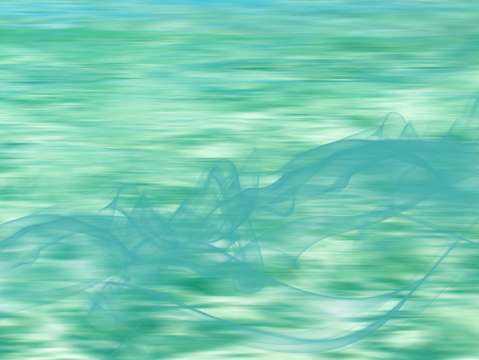 The smell of the ocean