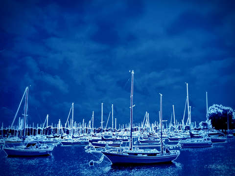 Blue harbor