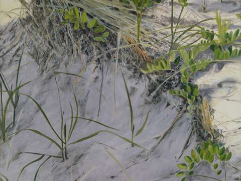 Dunes 2