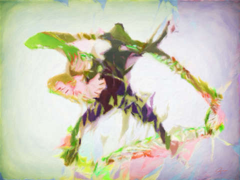 A love divine