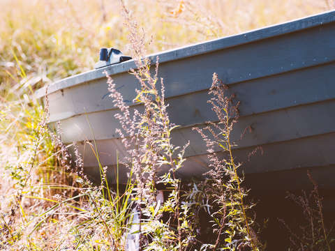 Beverly boat