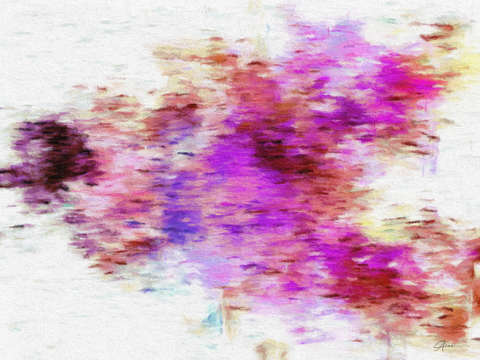 Fuschia