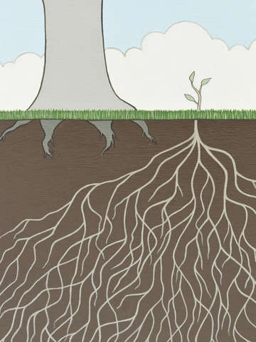 Tree secrets