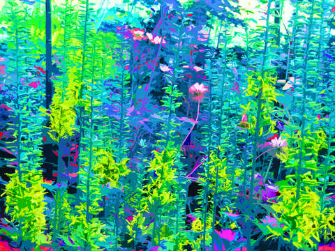 The colored forest