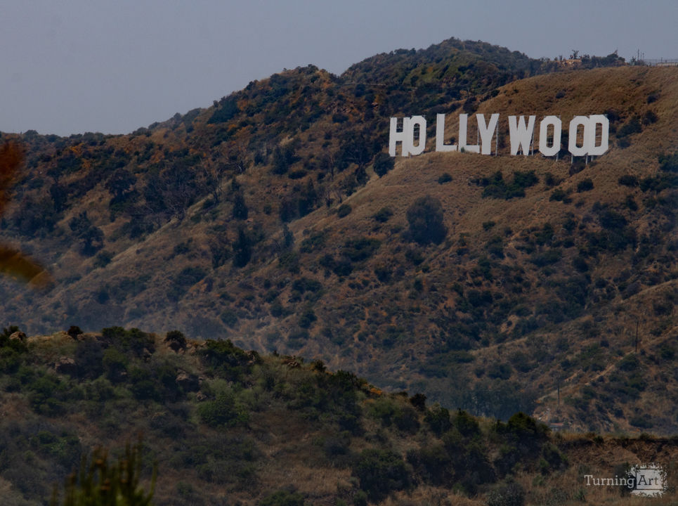 The hollywood sign
