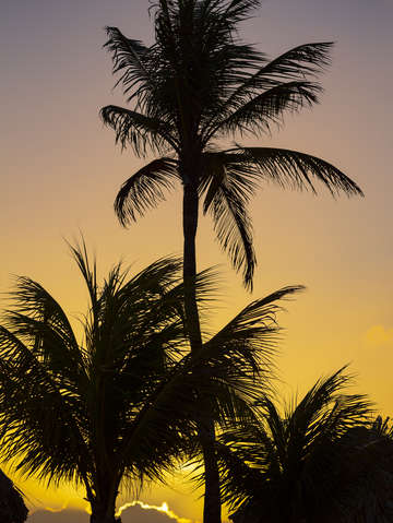 Curacao sunset