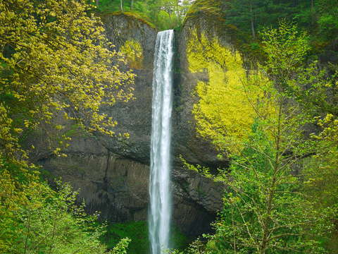 Latourell falls