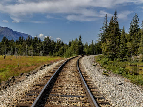 Path to the wilderness