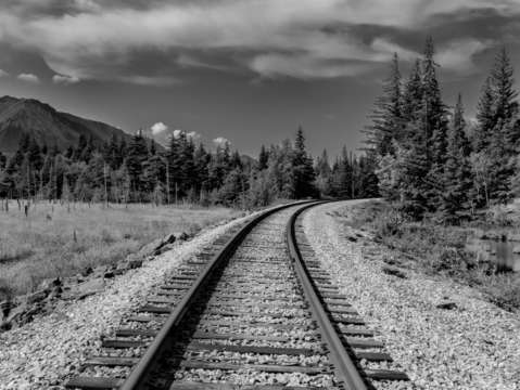 Path to the wilderness bw