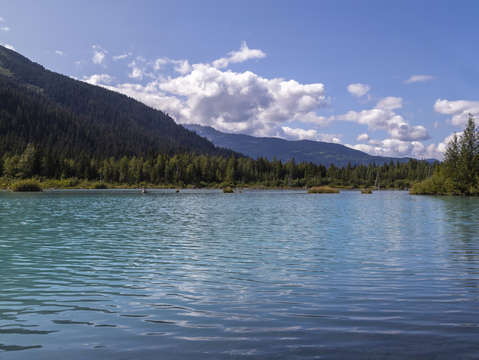 Natural tranquillity